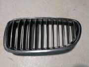Vorderer oberer Gitter BMW 5 Touring (F11) 525 d 7200727