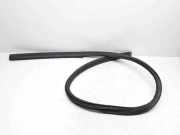 Türdichtungsgummi vorne links VOLVO C70 II Cabrio D3 31256242