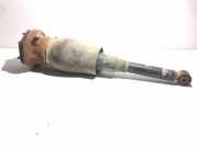 Stoßdämpfer hinten links LEXUS LS (_F4_) 460 (USF40) 4809050140