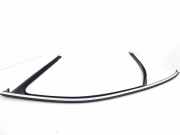 Türgummi links vorne Porsche Cayenne 2 (92A)