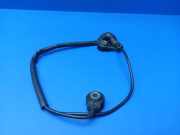 Klopfsensor BMW 7 (E65, E66, E67) 745 i, Li 0261231136 094304
