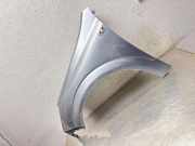 Kotflügel vorne links