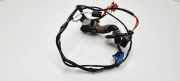 Türverkabelung hinten links RENAULT LAGUNA I (B56_, 556_) 1.9 dTi (B56J) 7700822878