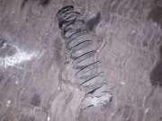 Schraubenfeder hinten links BMW X1 (E84) sDrive 18 d