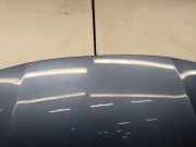 Motorhaube Volvo S60 II (134) 31352823