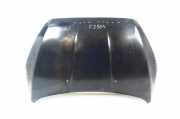 Motorhaube Ford Focus IV (HN)