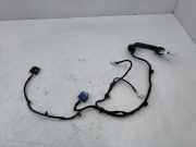 Kabel Tür Nissan Qashqai II (J11) 24126HV00C