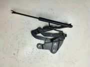Motorhaubenscharnier links BMW X1 (E84) 2990359