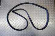 Türgummi links vorne Toyota RAV 4 IV (A4) 6231242100