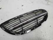 Gitter vorne unten MERCEDES-BENZ S (W222, V222, X222) S 350 BlueTEC 4-matic (222.133) A2228850224