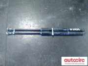 Heckklappendämpfer links Toyota Yaris (P13) 689600W640