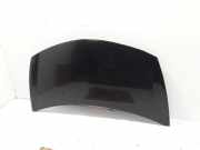Motorhaube RENAULT CLIO III (BR0/1, CR0/1) 1.5 dCi (BR17, CR17) 7751476113