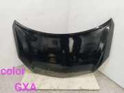 Motorhaube RENAULT KOLEOS I (HY_) 2.0 dCi 4x4 (HY0K)