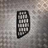 Ziergitter BMW X3 (G01, F97) 8065193