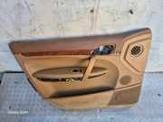 Türverkleidung vorne links