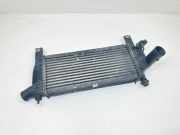 Ladeluftkühler Nissan Navara (D40) 14461EB360