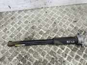 Stoßdämpfer rechts hinten Mercedes-Benz E-Klasse Kombi (S213) A2133201030