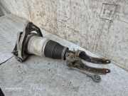 Stoßdämpfer links vorne Audi Q7 (4L) 7L8616039D