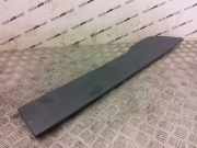 Türverkleidung rechts hinten Ford Transit Connect V408 Kasten () DT11V29076DHW