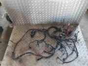 Kabel Motor Opel Movano B Kasten (X62)