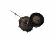 Riemenspanner PEUGEOT 407 SW (6E_) 2.2 HDi 170