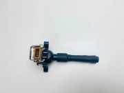 Zündspule BMW X5 (E53) 4.4 i 1748017