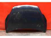 Motorhaube Ford Focus II Cabriolet (DB3)