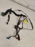 Kabel der vorderen linken Tür RENAULT MEGANE I Cabriolet (EA0/1_) 2.0 16V 1331107 07091998