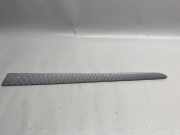 Türpolsterverkleidung hinten links