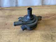 Wasserpumpe