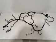 Kabelbaum Innenverkleidung BMW X5 (G05) (G05, F95) 5A5B0C9