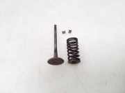 Auslassventil Nissan Murano I (Z50)