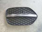 Gitter vorne unten MERCEDES-BENZ M (W166) ML 350 BlueTEC 4-matic (166.024) A2928850522