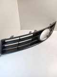Nebelscheinwerferverkleidung VW PASSAT B6 (3C2) 2.0 TDI 16V 3C0853665A