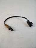 Sauerstoffsensor (Lambdasensor) VOLVO V40 Hatchback 1.9 DI 31480460