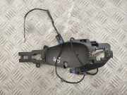 Türinnengriffrahmen hinten links BMW X6 (E71, E72) xDrive 40 d 6936591 E7XRD