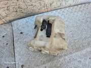 Fensterwaschtank VW PASSAT CC (357) 1.8 TSI 3C8955453B