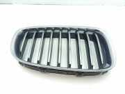 Vorderer oberer Gitter BMW 5 Gran Turismo (F07) 530 d 51137200170