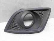 Blende Nebelscheinwerfer Ford Fiesta V (JH, JD) 6S6119953BCW