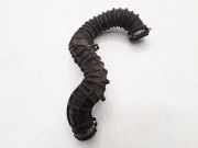 Schlauch für Luftversorgung Renault Trafic II Bus (JL) 8200607746