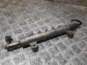 Einspritzleiste Nissan X-Trail I (T30) 042009F0411