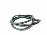 Türgummi rechts vorne BMW 3er Coupe (E92) 7119092