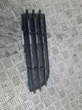 Gitter vorne unten MITSUBISHI COLT VI (Z3_A, Z2_A) 1.5 DI-D MN105194