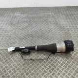 Pneumo-Stoßdämpfer hinten links MERCEDES-BENZ S (W222, V222, X222) S 350 d (222.120, 222.020) A2223205501