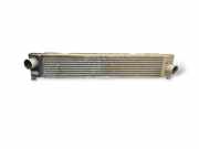 Ladeluftkühler FIAT DUCATO Furgon (250_, 290_) 100 Multijet 2,2 D