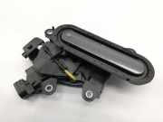 Türaußengriff hinten links TOYOTA C-HR (_X2_, _H2_) PHEV