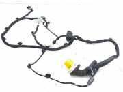 Türverkabelung hinten links