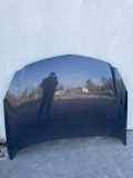 Motorhaube Opel Insignia A (G09)