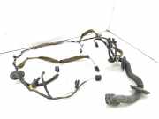 Kabel Tür Renault Laguna III (T) 241250118R