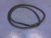 Türgummi links vorne Volvo S80 II (124) 4H0831721F